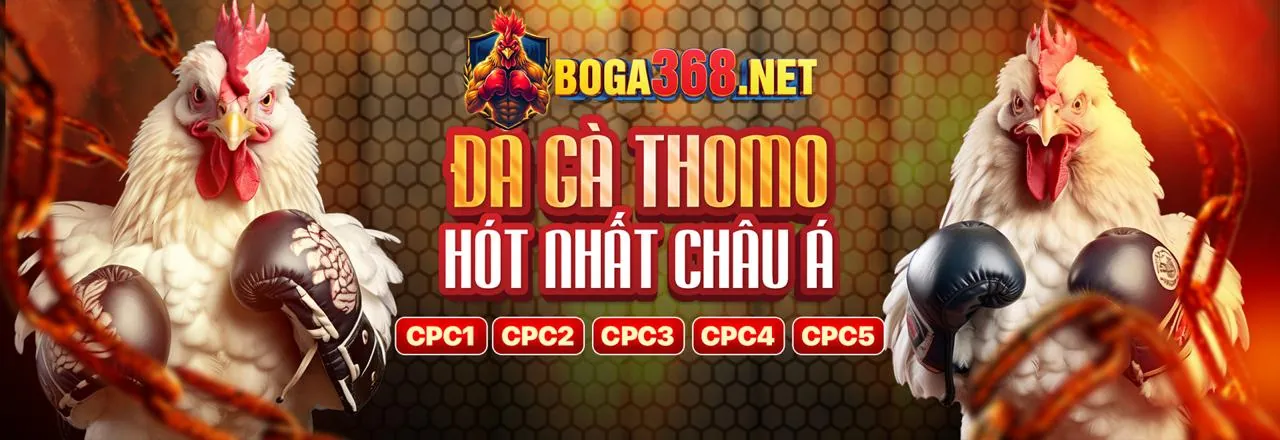 Chính sách Cookie của suwin login